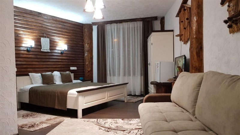 Cameră spațioasă cu canapea și pereți din bârne